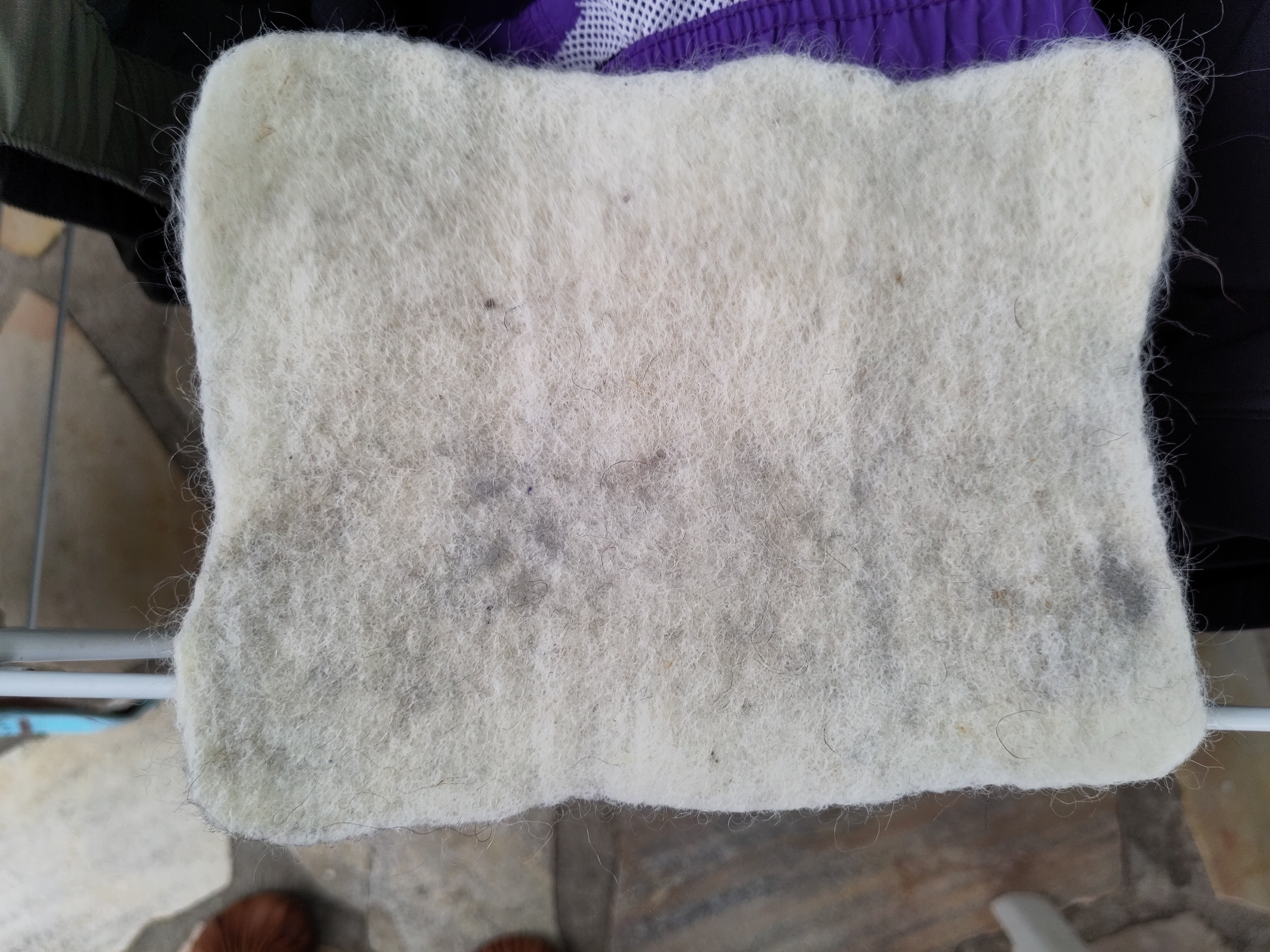 un rectangle pas trés rectangle de laine blanche pas tout a fait blanche. les bords sont irréguliers et il y a des taches noires et des bouts de paille dans la laine.