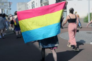 un drapeau pan est brandi par une personne dans un contexte de pride. il fait soleil et les personnes autour sont floues